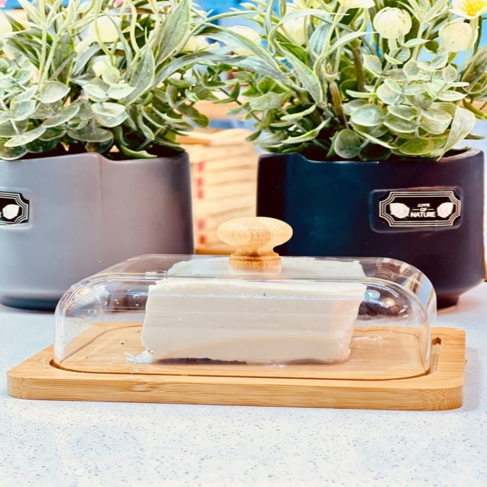 MultiServe Wooden Keeper with Clear Lid