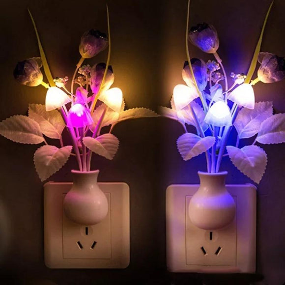Led night light