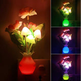 Led night light
