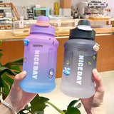 Gradient Water Bottle With Straw