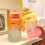 Gradient Water Bottle With Straw