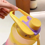 Gradient Water Bottle With Straw