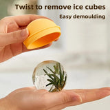 Ice Ball Hockey Mold
