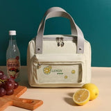 Thermal Portable Insulated Lunch Bag