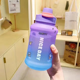 Gradient Water Bottle With Straw